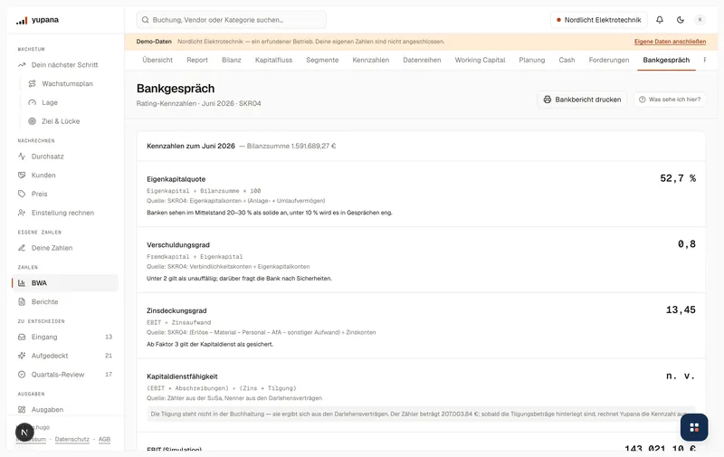 Bankgespräch-Mappe des Demo-Mandanten: Kennzahlen mit Vorjahresvergleich, Liquiditätsverlauf und die Zeile, welche Angaben noch fehlen.